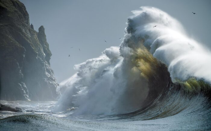 Incoming - 14"x 9" Signed Print