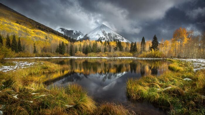 Aspen Glow - 14"x8" Signed Print