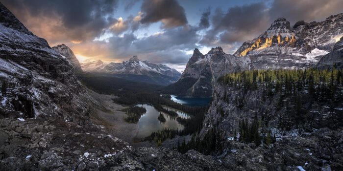 The Last Gasp 14" Panorama Print
