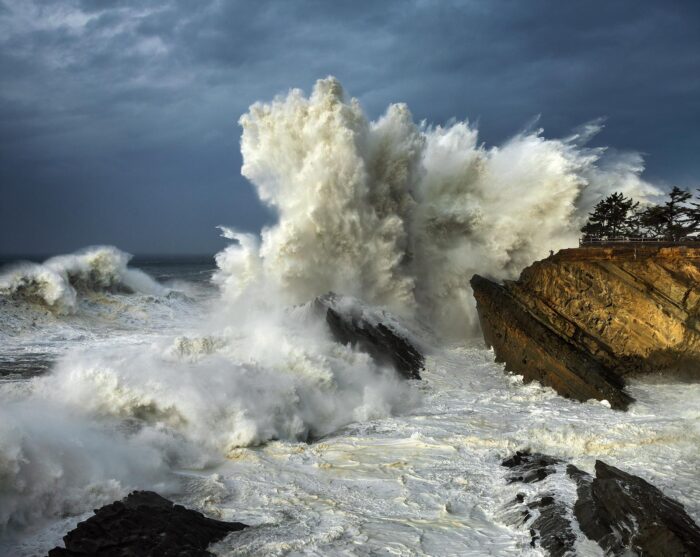 Seismic - 8"x10" Signed Print