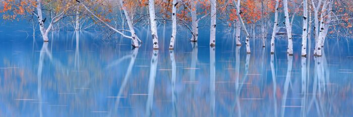 15 Second Spell - 15″x5″ Signed Print