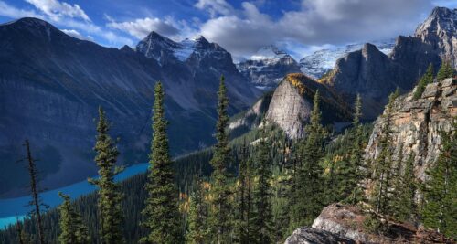 Hive Minded Pano - 14"x6" Signed Print