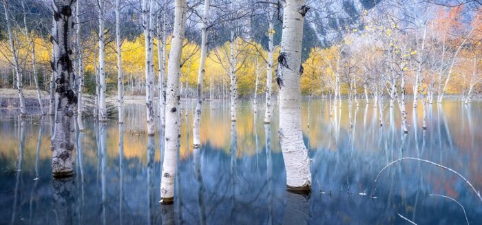 Liquid Stage Pano - 14"x6" Signed Print