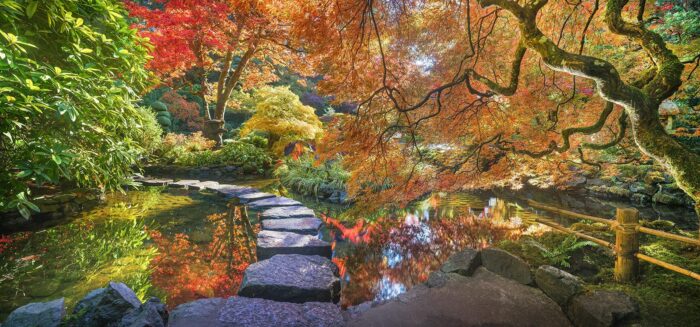 Lit From Within - 14"x6" Signed Print