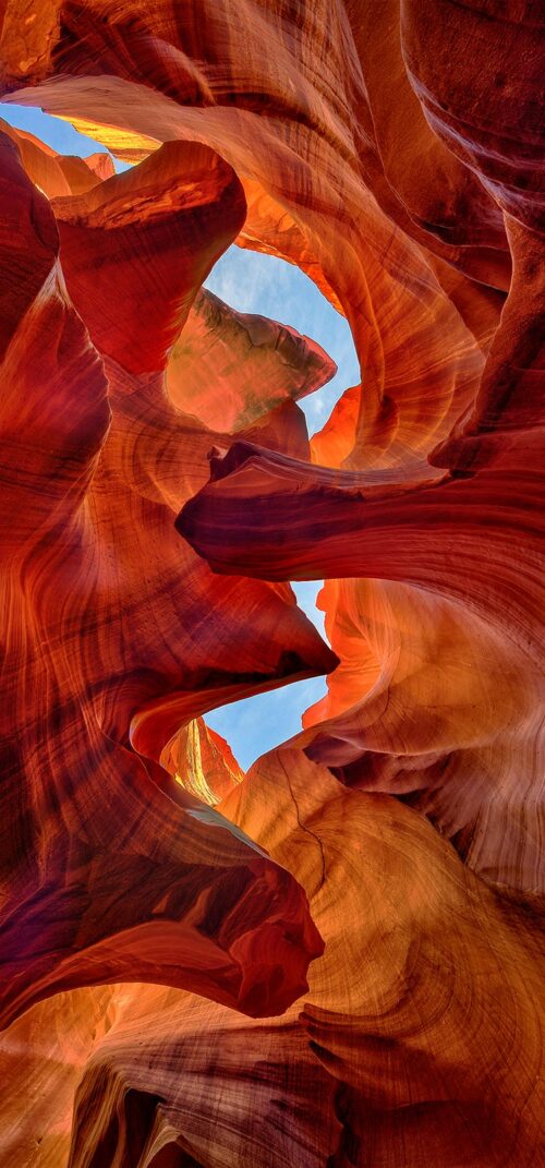 Look Up - 5"x14" Signed Print