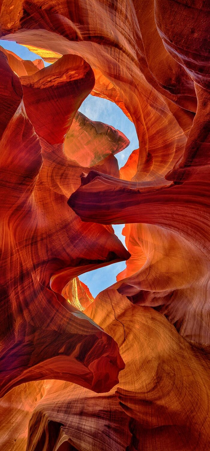 Look Up - 5"x14" Signed Print