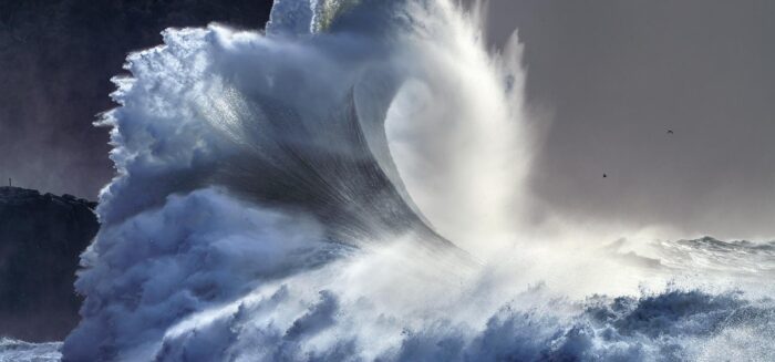 The Bigger Picture - 14″x6″ Signed Print