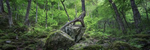 The Grabbing Hand - 14"x5" Signed Print