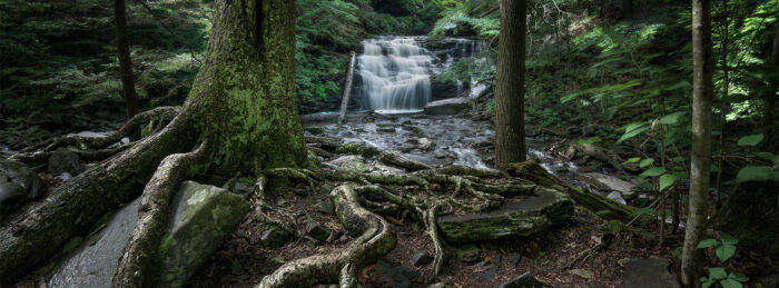 Anaconda Falls - 14″ Panorama Print