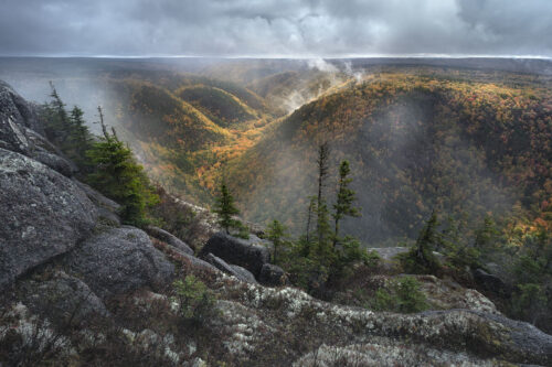 Cape Clearing – 14″x9.5″ Signed Print