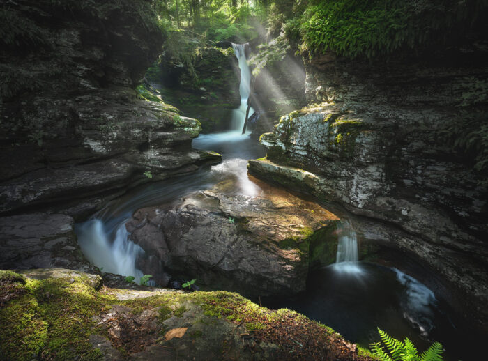Dappled Canyon - 14"x11" Signed Print