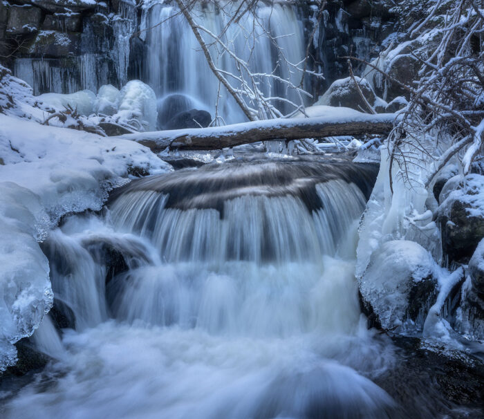 Deadfall – 14″x11″ Signed Print
